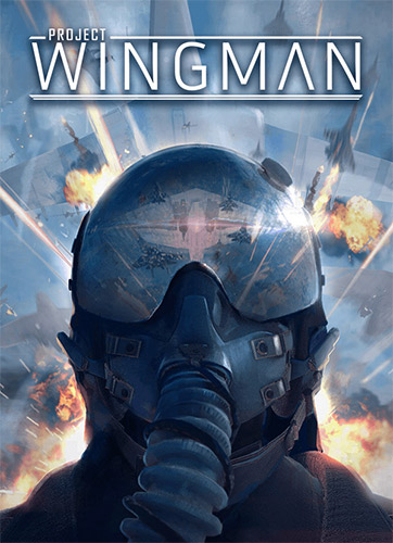 Project Wingman (2020)